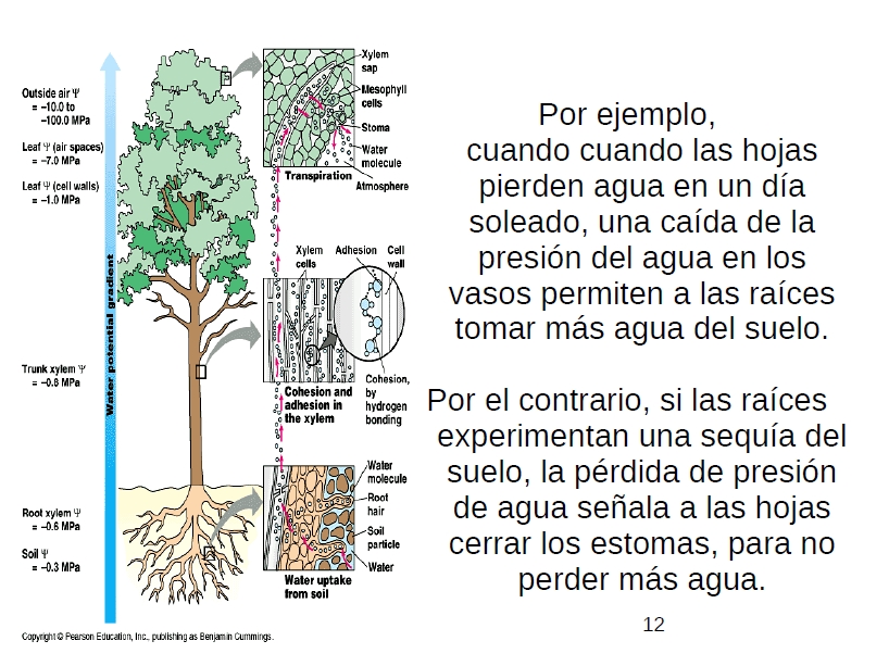 graphic