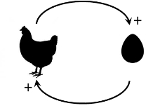 graphic